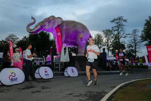 BIB: 
                            <button type="button" onclick="openModal(26529520)" class="btn btn-primary btn-sm float-right btn-popup" data-toggle="modal" data-target=".modal-high-quality">
                        <i class="fas fa-shopping-cart"></i> Add to Cart
                    </button>
                                            <button type="button" onclick="isThisMe(26529520, true)" class="btn btn-success btn-sm float-right btn-popup btn-isme hidden" data-toggle="tooltip" data-placement="bottom" title="นี่คือรูปของคุณใช่ไหม คลิกที่นี่เพื่อเอาเข้าอัลบั้ม">
                        <i class="fas fa-plus"></i> Add to album
                    </button>
                    <button type="button" onclick="isThisMe(26529520, false)" class="btn btn-warning btn-sm float-right btn-popup btn-isnotme hidden">
                        <i class="fas fa-ban"></i> Remove from album
                    </button>